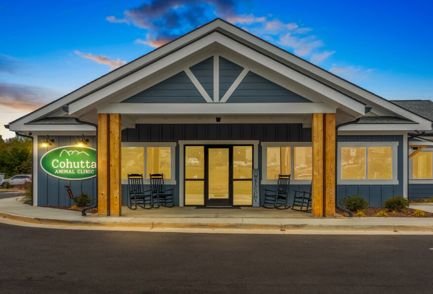 Western Veterinary Partners Absolute NNN