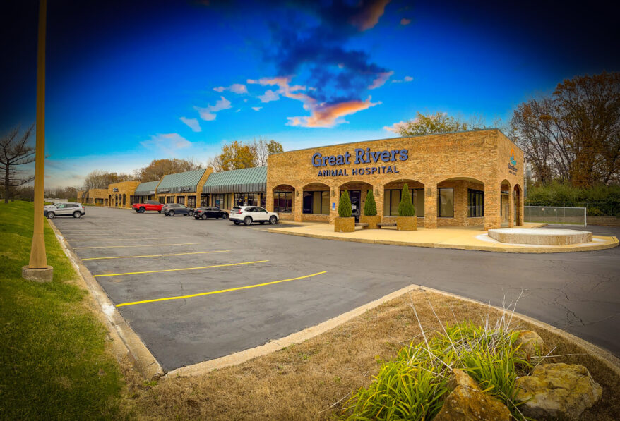NVA Veterinary Anchored Multi-Tenant Portfolio