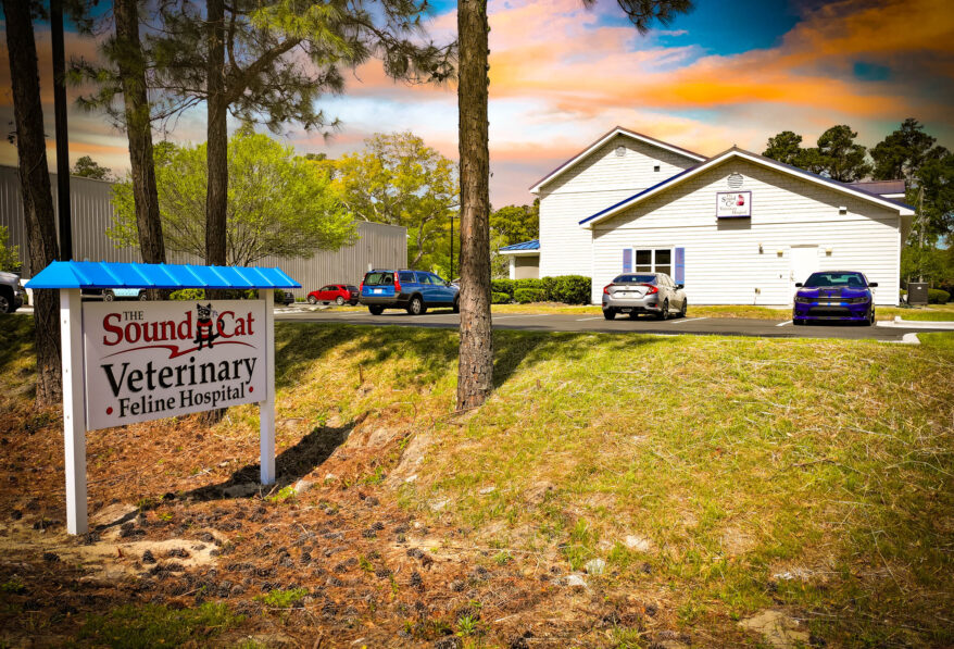 Value-Add Heartland Veterinary NN