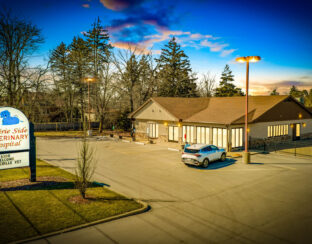 Blue River PetCare NN