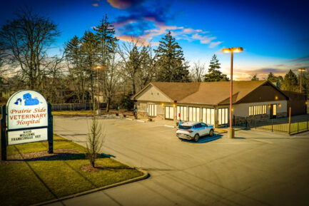 Blue River PetCare NN