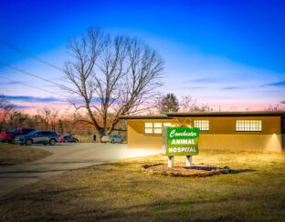 Conchester Animal Hospital NNN