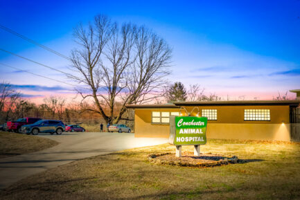 Conchester Animal Hospital NNN
