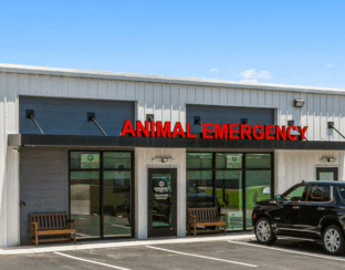 Innovetive Petcare NNN Asset