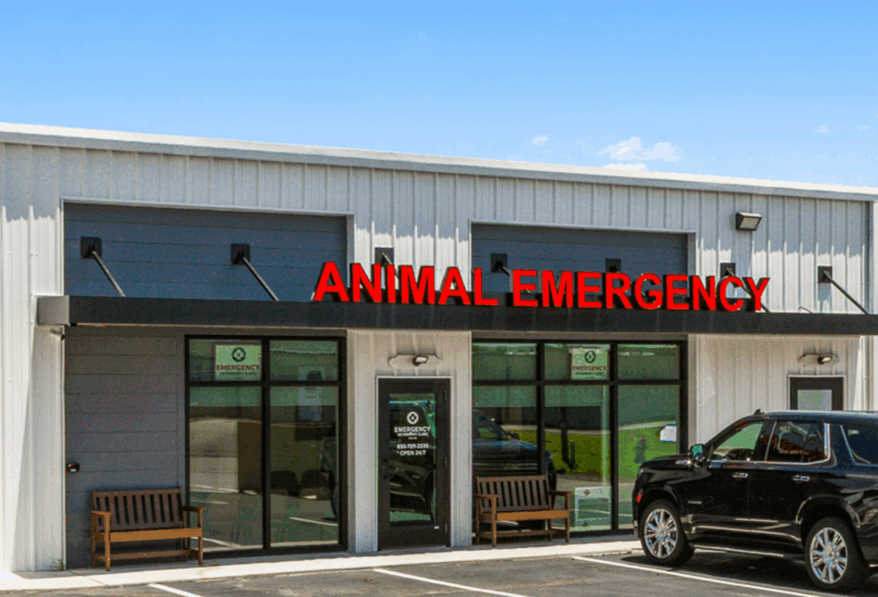 Innovetive Petcare NNN Asset