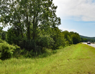 113 Acres Land