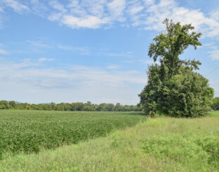13.76 Acres South of Huntsville Portfolio