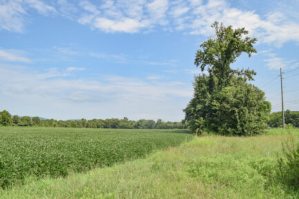 13.76 Acres South of Huntsville Portfolio
