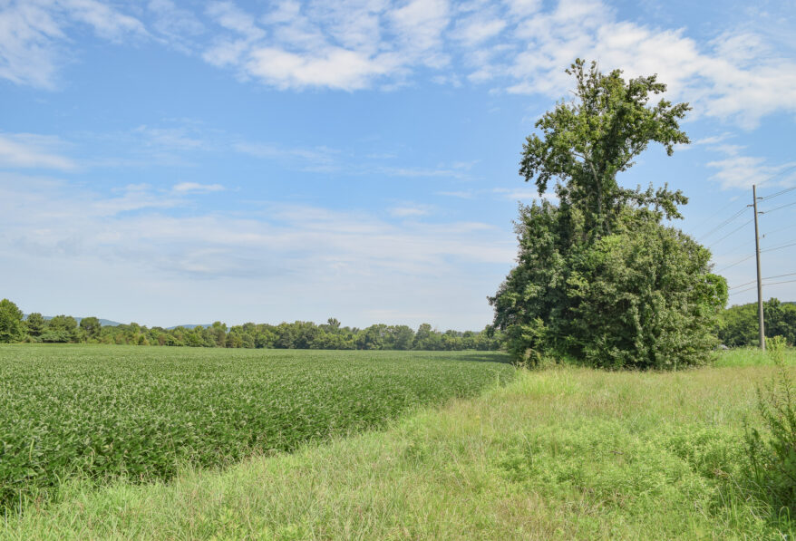 13.76 Acres South of Huntsville Portfolio