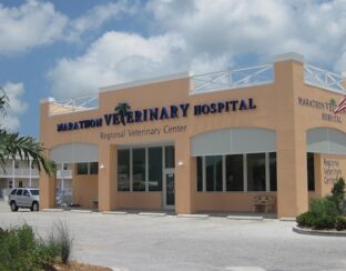 Thrive Pet Healthcare NNN