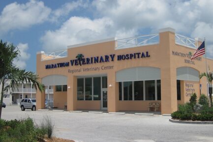 Thrive Pet Healthcare NNN