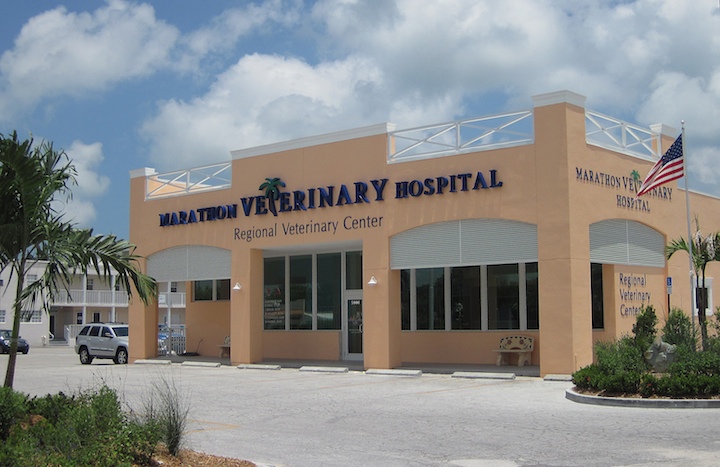 Thrive Pet Healthcare NNN