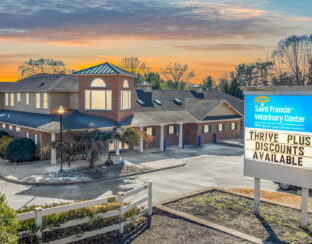 Thrive Pet Healthcare NNN