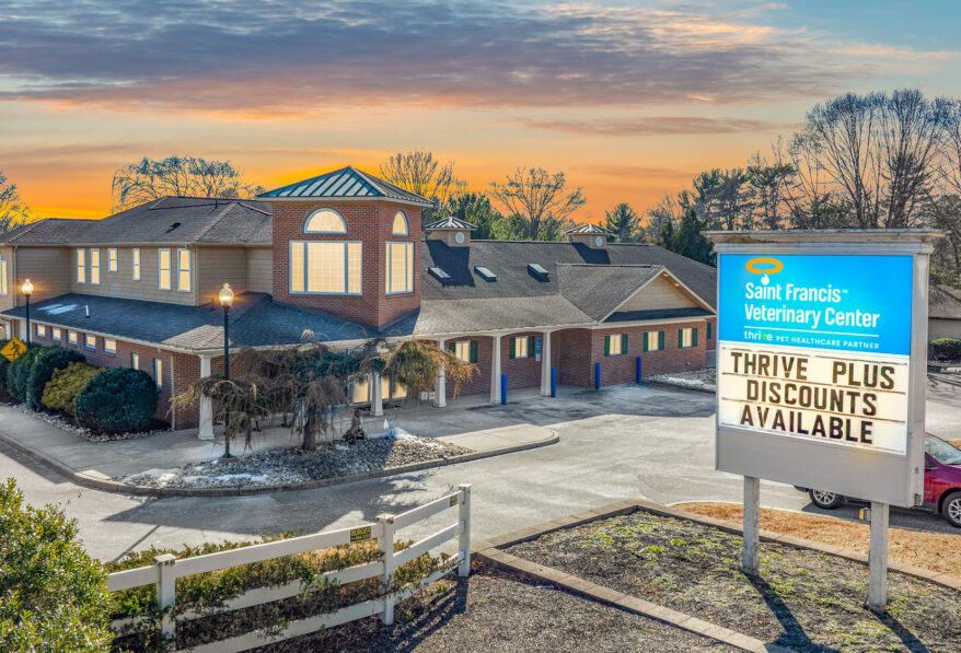 Thrive Pet Healthcare NNN