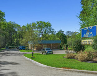 South Park Animal Hospital NNN