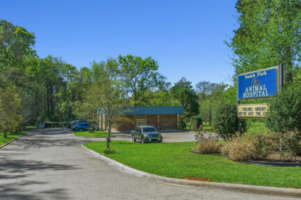 South Park Animal Hospital NNN